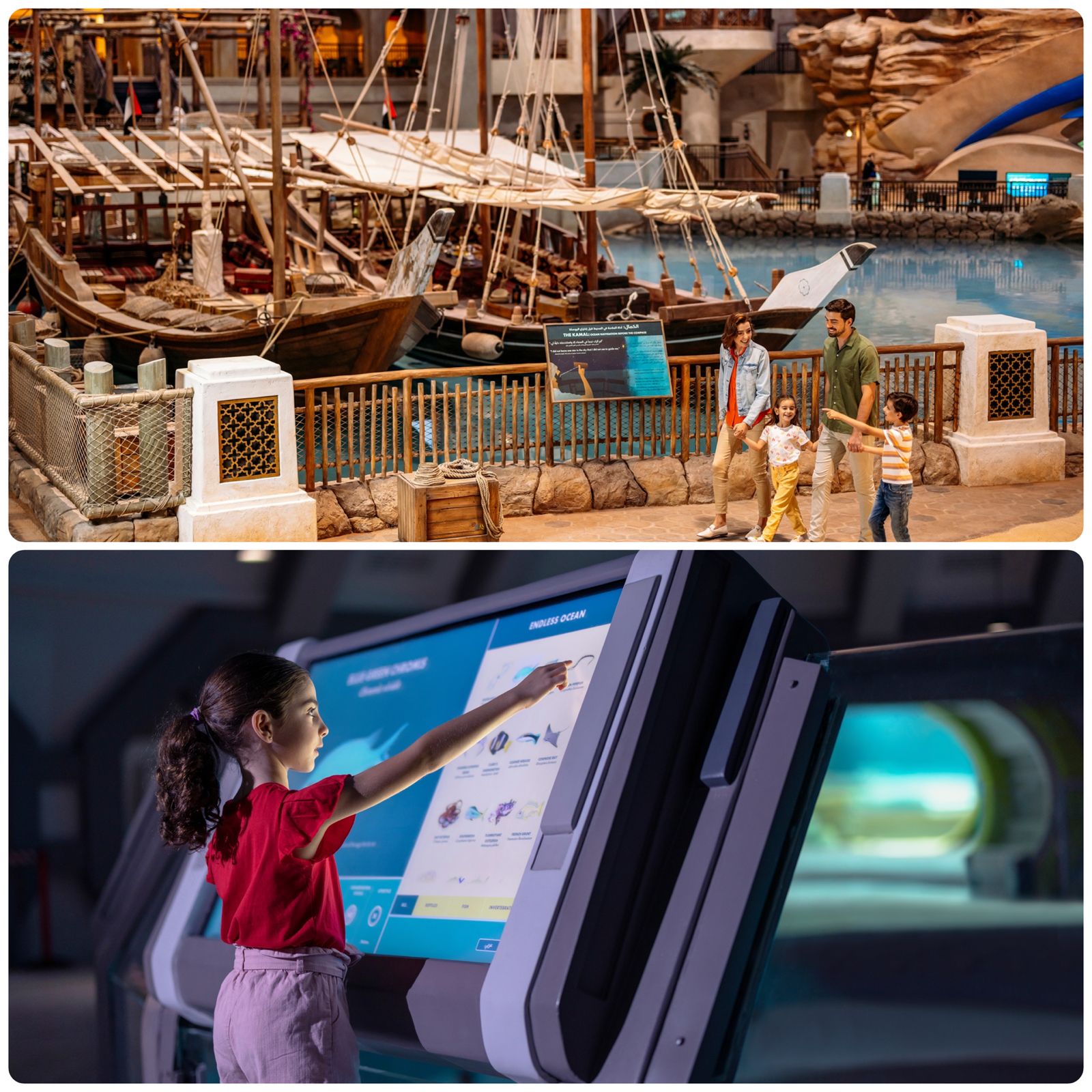 «سي وورلد جزيرة ياس» تحتفي باليوم الدولي للتعليم بباقة من الأنشطة والتجارب التعليمية 1 WhatsApp Image 2026 01 23 at 12.51.55 PM