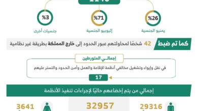 ضبط أكثر من 11 ألف مخالف لأنظمة الإقامة والعمل وأمن الحدود خلال أسبوع 4 WhatsApp Image 2026 03 28 at 2.58.31 PM