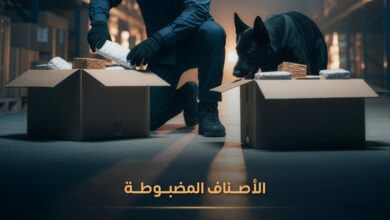 "المنافذ الجمركية" تسجل 748 حالة ضبط خلال أسبوع 2 WhatsApp Image 2026 04 04 at 1.02.59 PM
