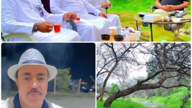 استكشف جمال الطبيعة في محافظة المندق 5 WhatsApp Image 2026 04 17 at 11.31.55 AM