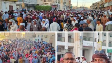 تريم تحي التراث والموروث في العيد السعيد 2 WhatsApp Image 2026 06 04 at 1.12.44 PM