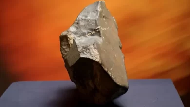 بيع أكبر نيزك مريخي معروف بـ 5.3 مليون دولار في مزاد "سوذبيز" 4 logo.jpg 8