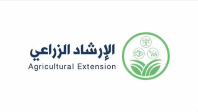 "الإرشاد الزراعي": يُوصى بجمع ثمار الزيتون المتساقطة في سبتمبر لاستخدامها في صناعة الصابون 5 الإرشاد الزراعي ي