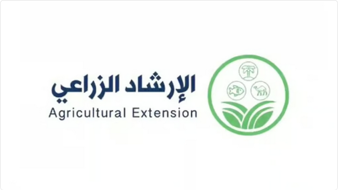 "الإرشاد الزراعي": يُوصى بجمع ثمار الزيتون المتساقطة في سبتمبر لاستخدامها في صناعة الصابون 1 الإرشاد الزراعي ي