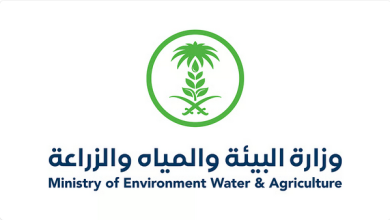 "البيئة" تطلق خدمتي ترخيص التربية الريفية لدعم صغار المربين وتعزيز استدامة الثروة الحيوانية 2 البيئة